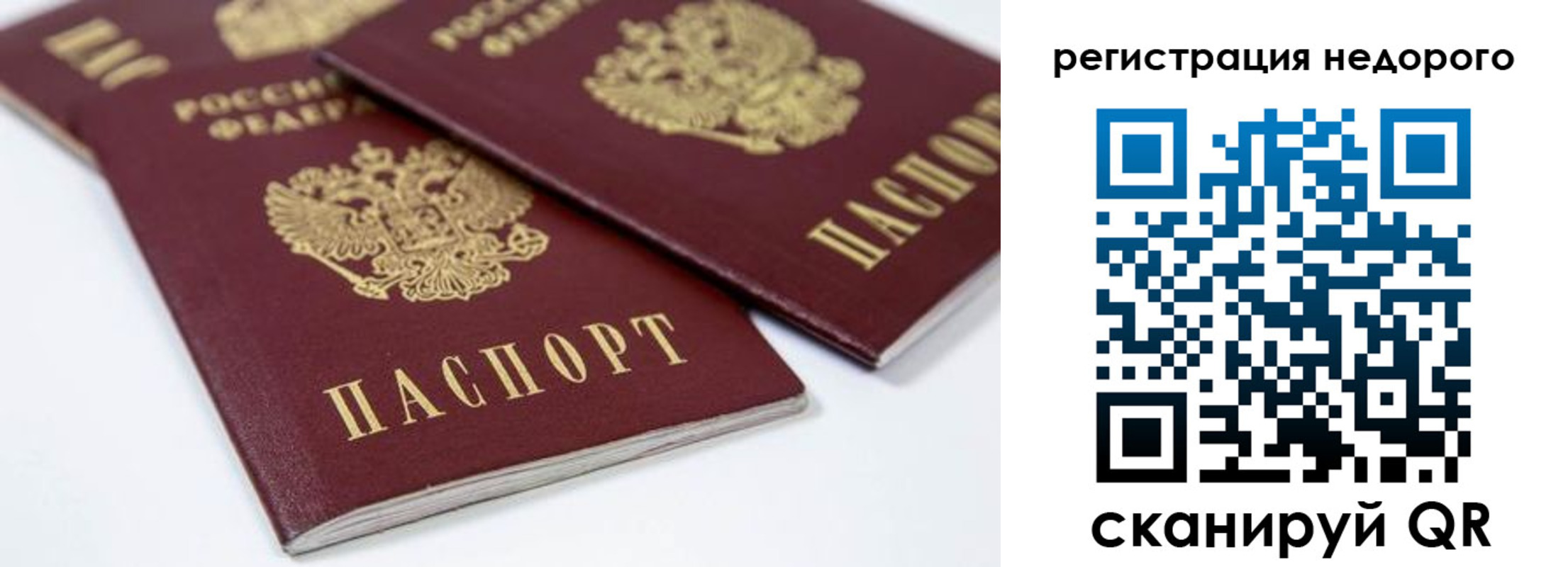 прописка поиск в Петрозаводске
